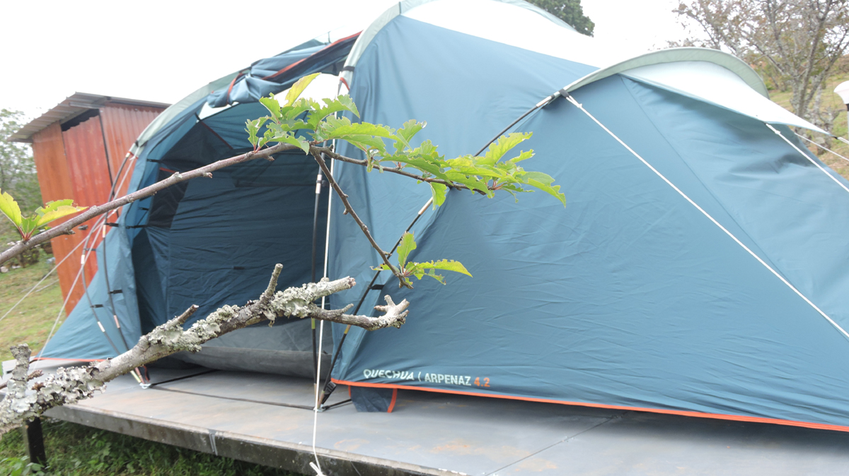 Luxury Glamping in Poombarai Luxury Glamping in Kodaikanal